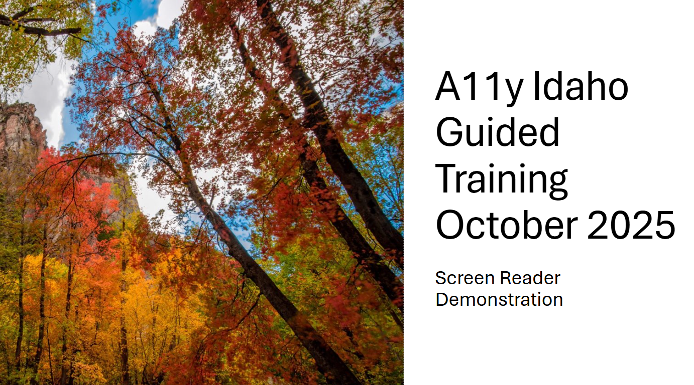October 2025 guided training on screen reader demonstration